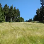 Alenka 3* Špindlerŭv Mlýn