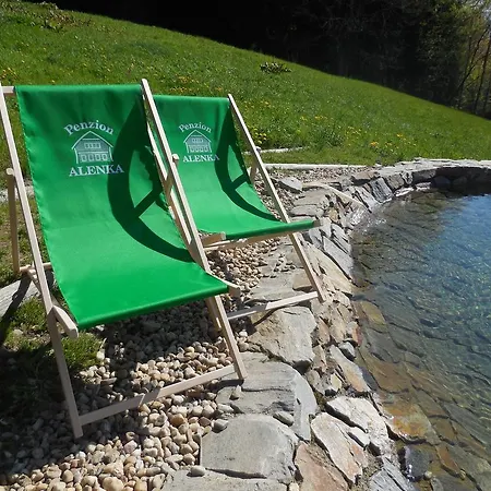 Alenka 3* Špindlerŭv Mlýn