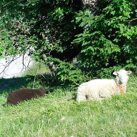 Vendégház Alenka 3*