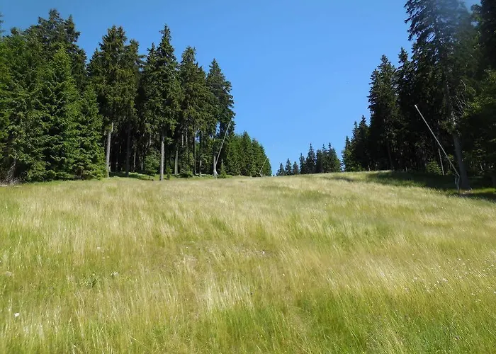 Alenka 3* Špindlerŭv Mlýn