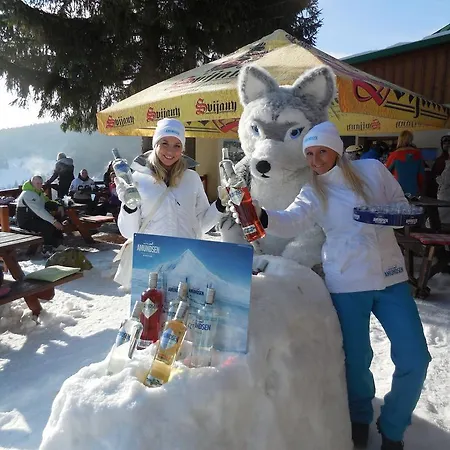 Alenka Gasthof Špindlerŭv Mlýn