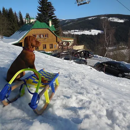 Alenka בית הארחה 3*