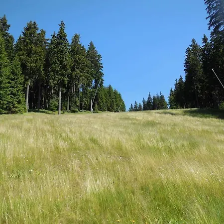 Alenka 3* Špindlerŭv Mlýn