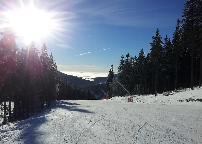 Alenka Špindlerŭv Mlýn