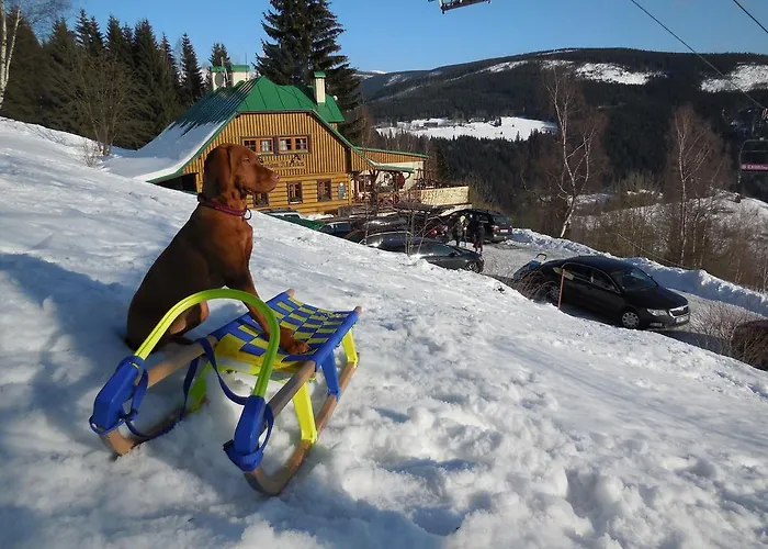 Alenka Гостьовий будинок 3*